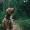 a dog on a leash sitting on a trail in the woods
